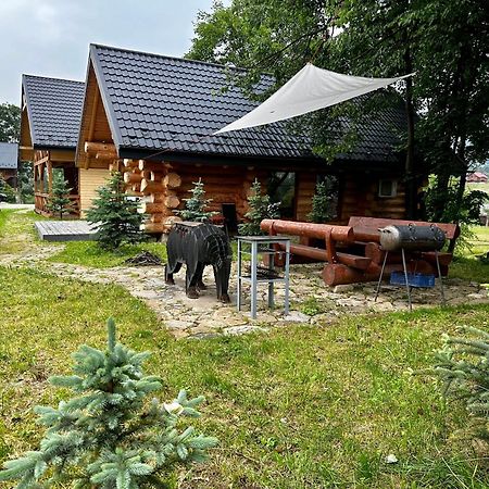 Chalet Pidstromom Villa Микуличин Екстериор снимка