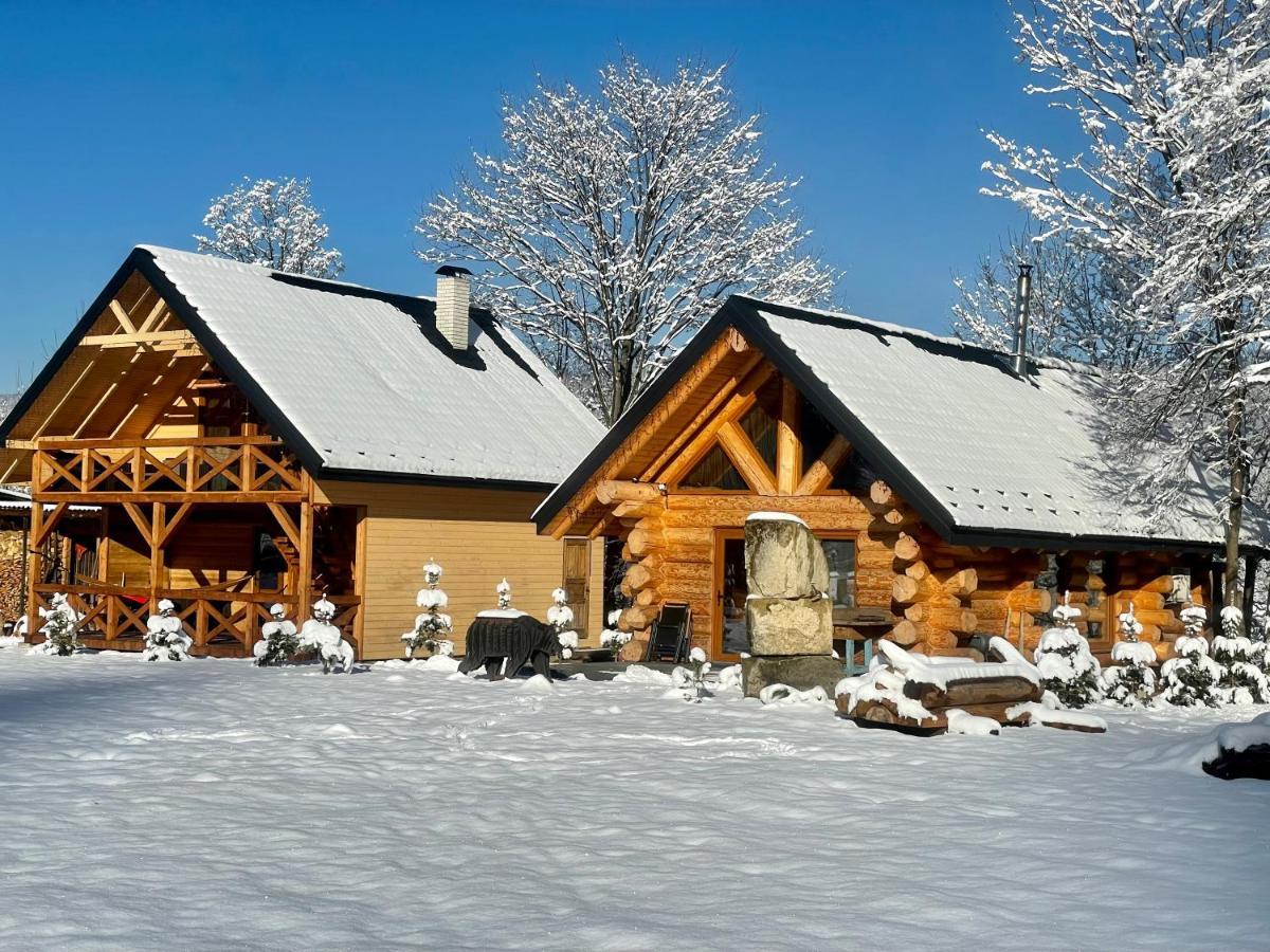 Chalet Pidstromom Villa Микуличин Екстериор снимка