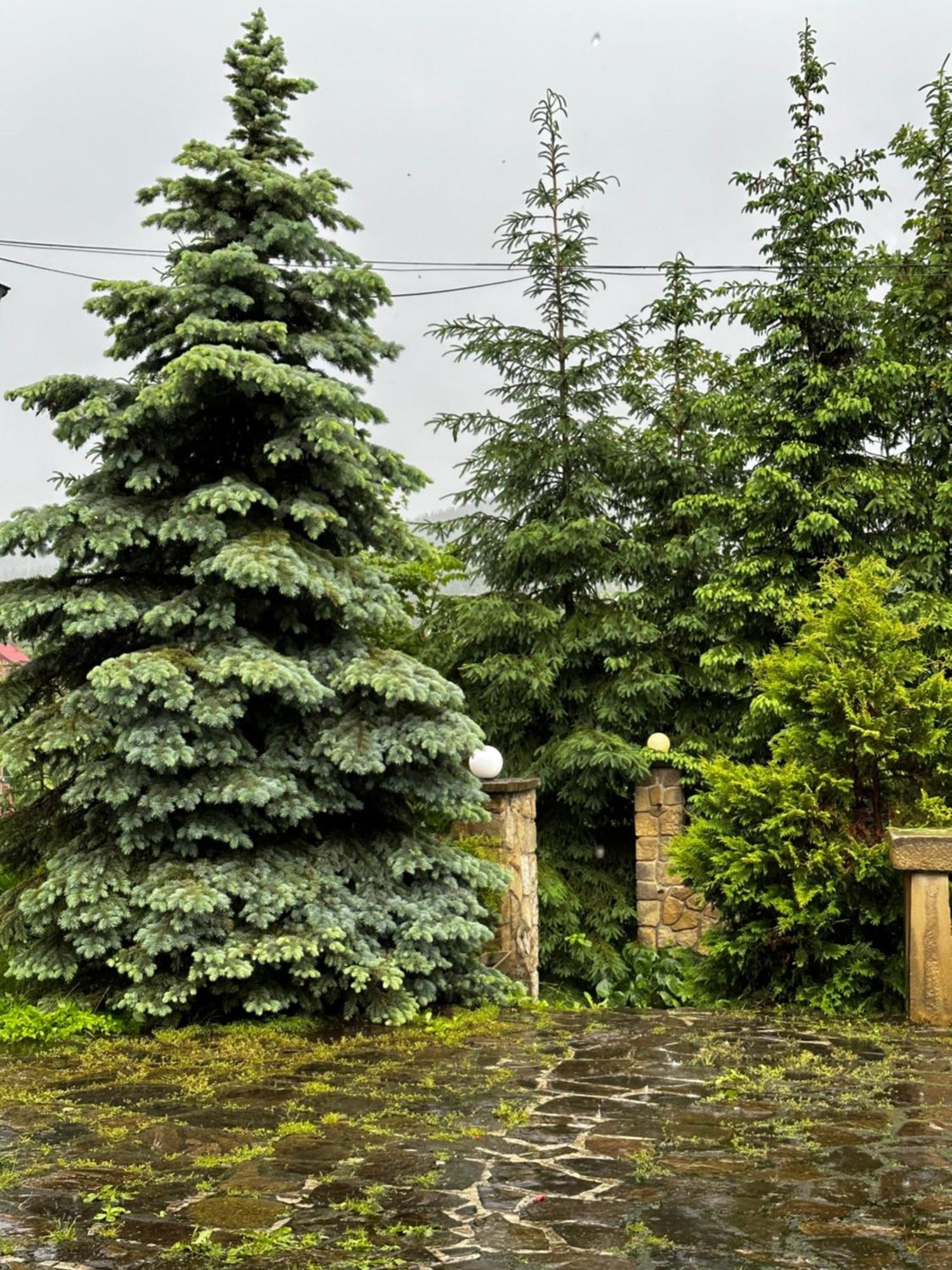 Chalet Pidstromom Микуличин Екстериор снимка